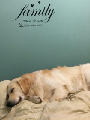 "Magic" water magnet towel