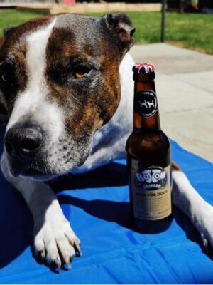 "Magic" water magnet towel