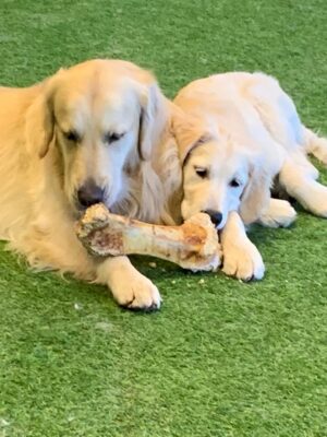 "Magic" water magnet towel