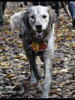"Magic" water magnet towel