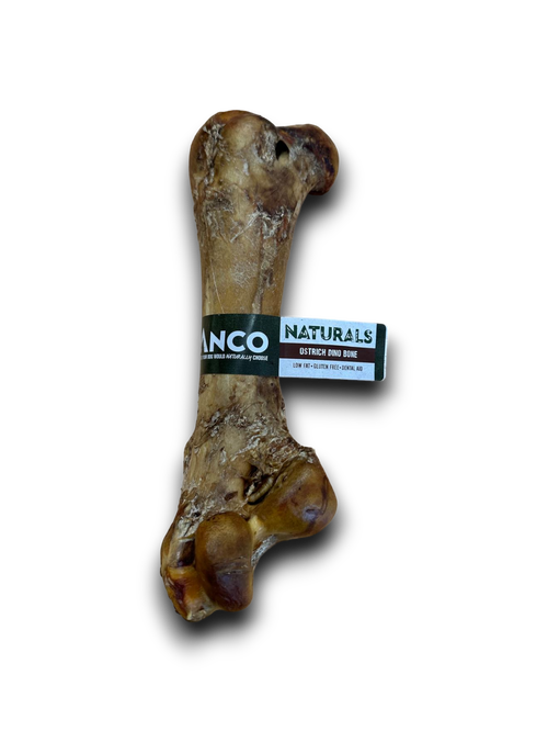 Ostrich Dino Bone